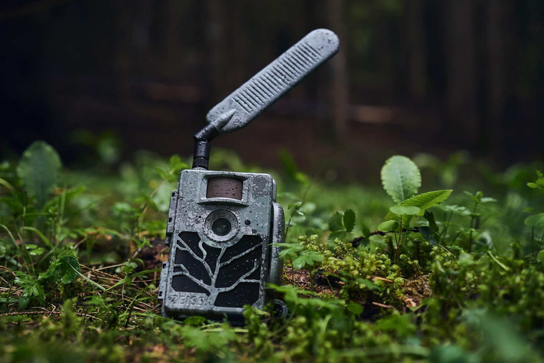 A rugged ZEISS trail camera with an antenna stands on the forest floor surrounded by moss and plants.