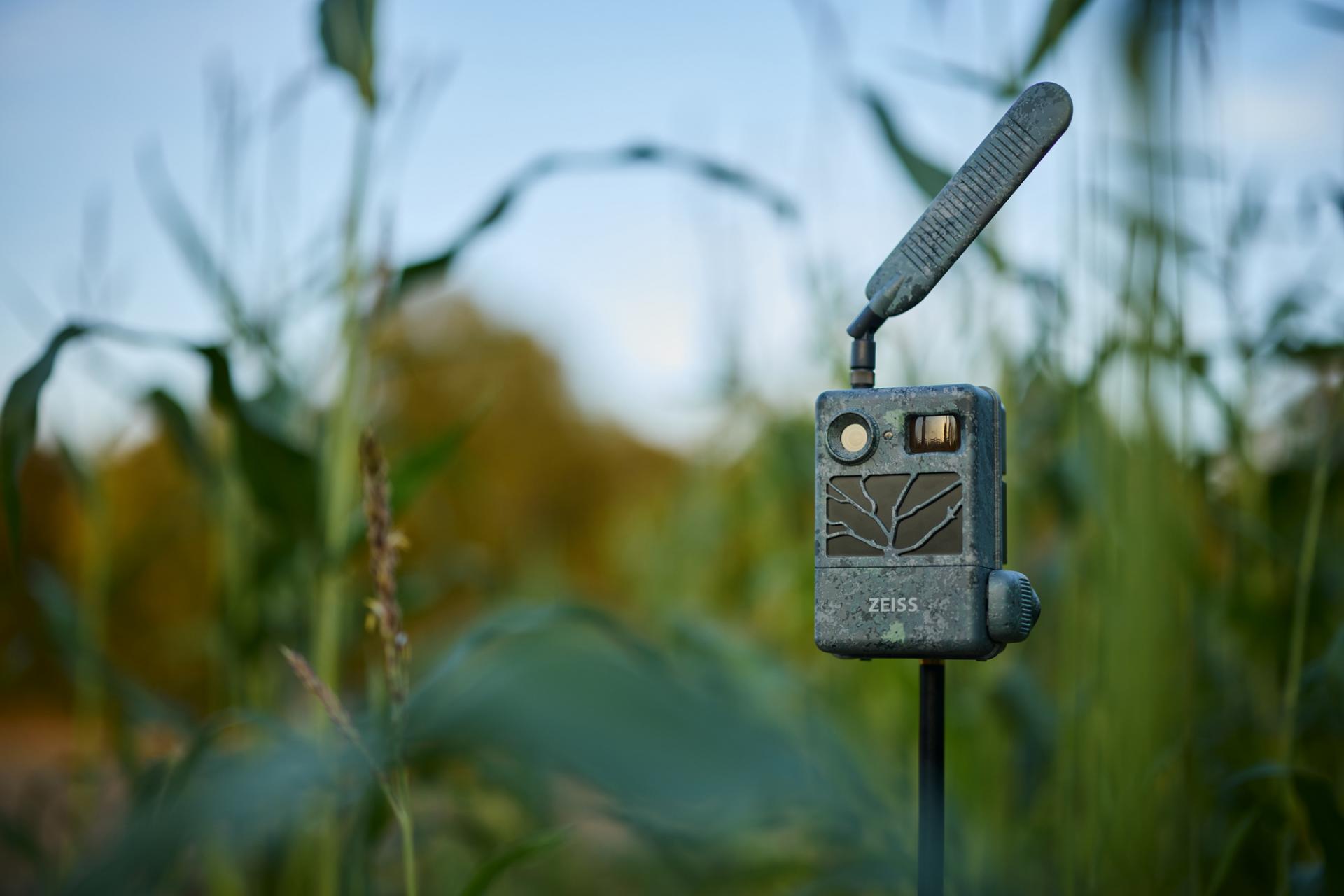 A ZEISS trail camera with an antenna is mounted on a pole among tall green grass in an outdoor setting.