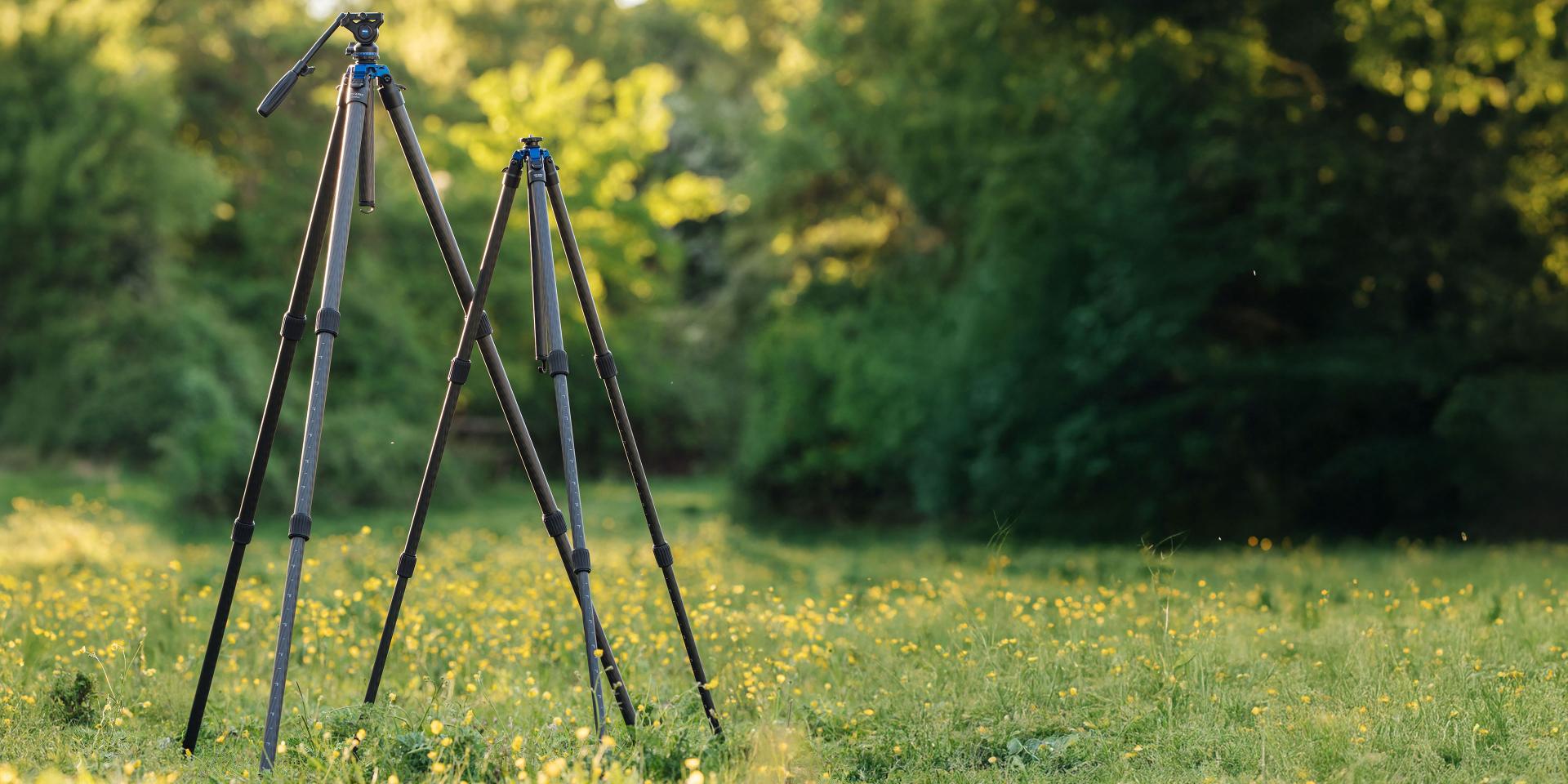 Two ZEISS tripods standing on a grassy field with a forested background in soft natural light.