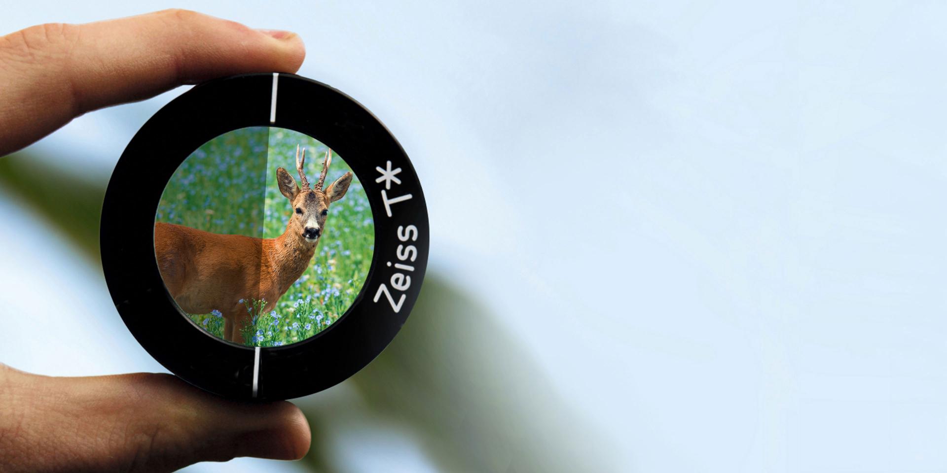 A hand holds a ZEISS T* lens filter showing a clear image of a deer with antlers against a blurred natural background.