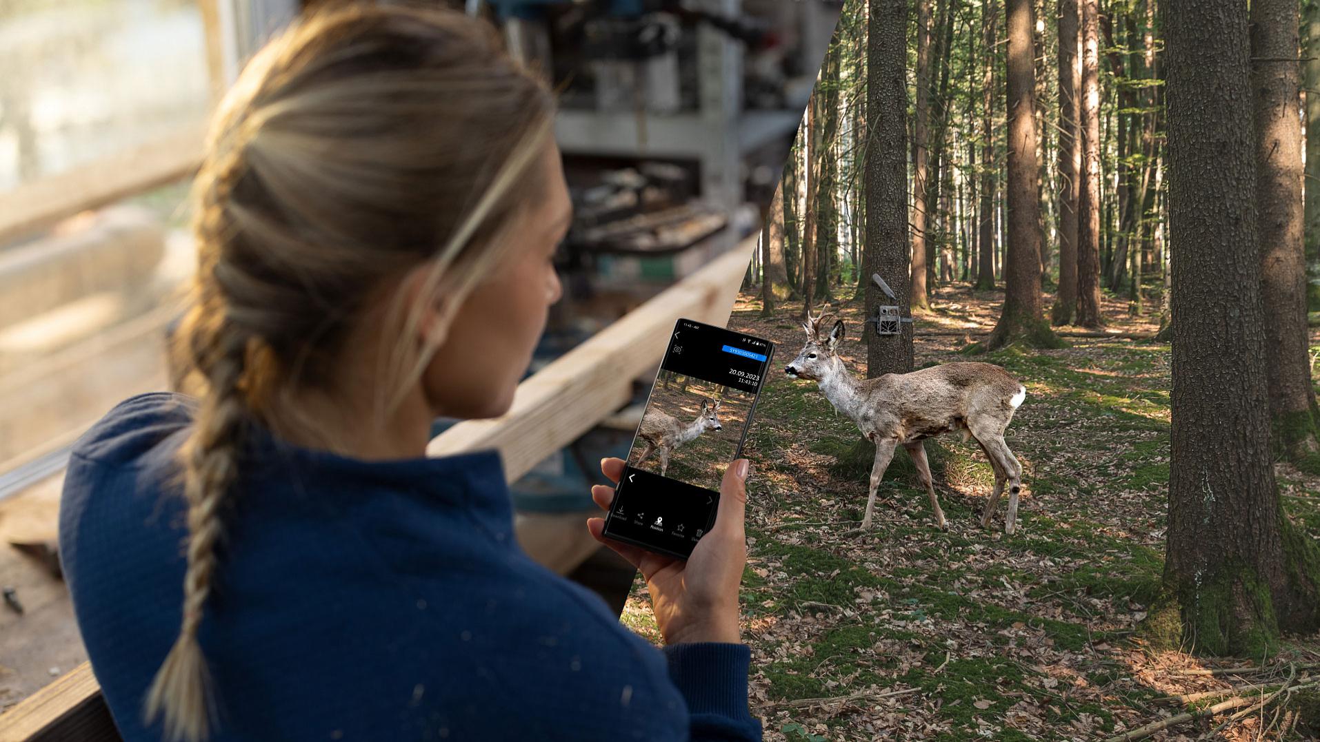 A female hunter holding a smartphone displaying a live feed from a wildlife camera, showing a deer standing in a forest clearing