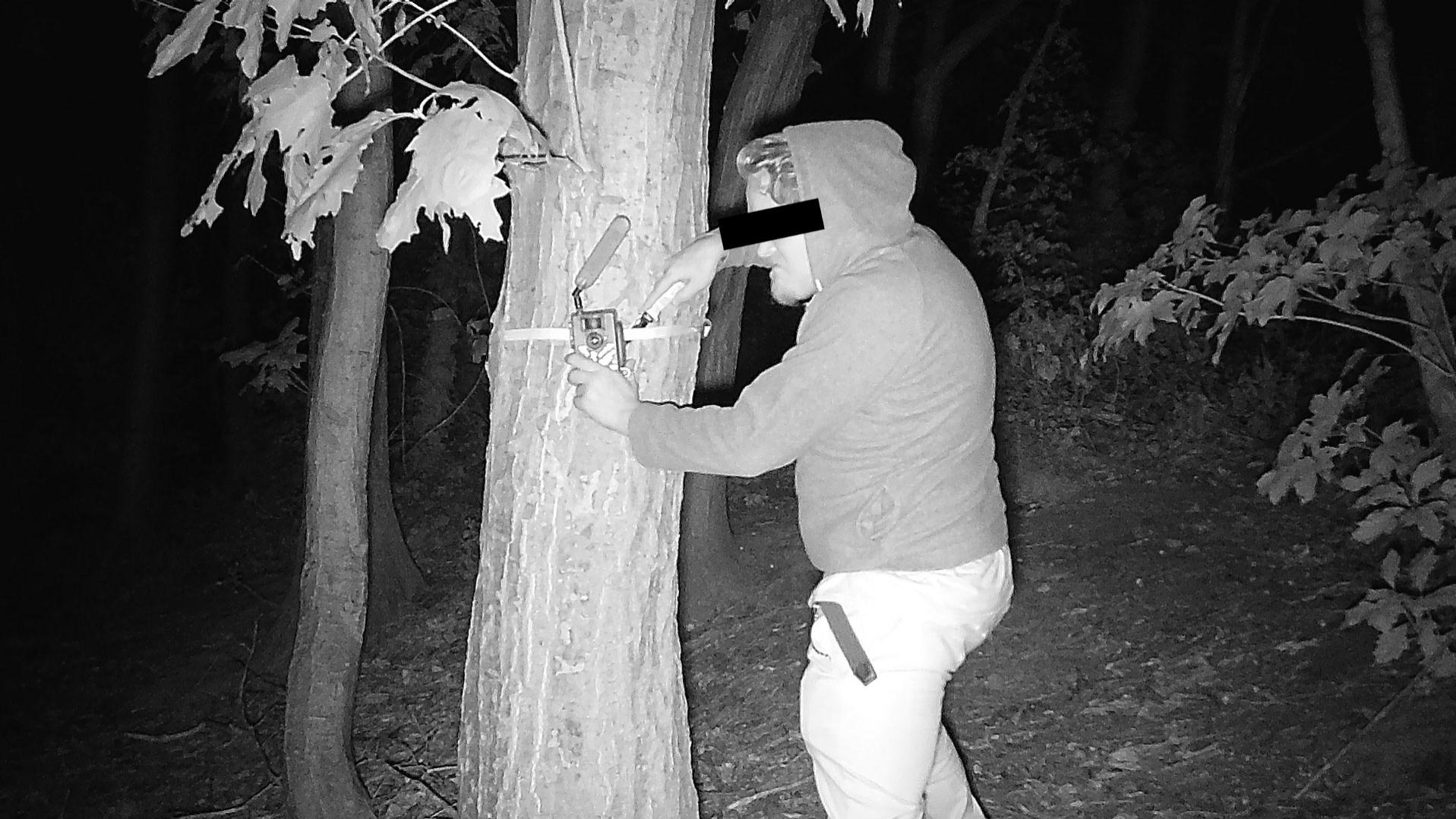 A night-vision trail camera captures a man in a hoodie tampering with a mounted wildlife camera on a tree