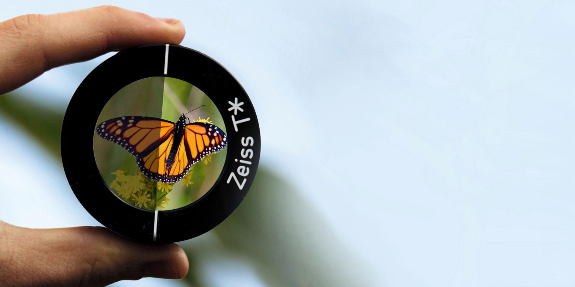A hand holds a ZEISS T* lens filter showing a clear image of a deer with antlers against a blurred natural background.
