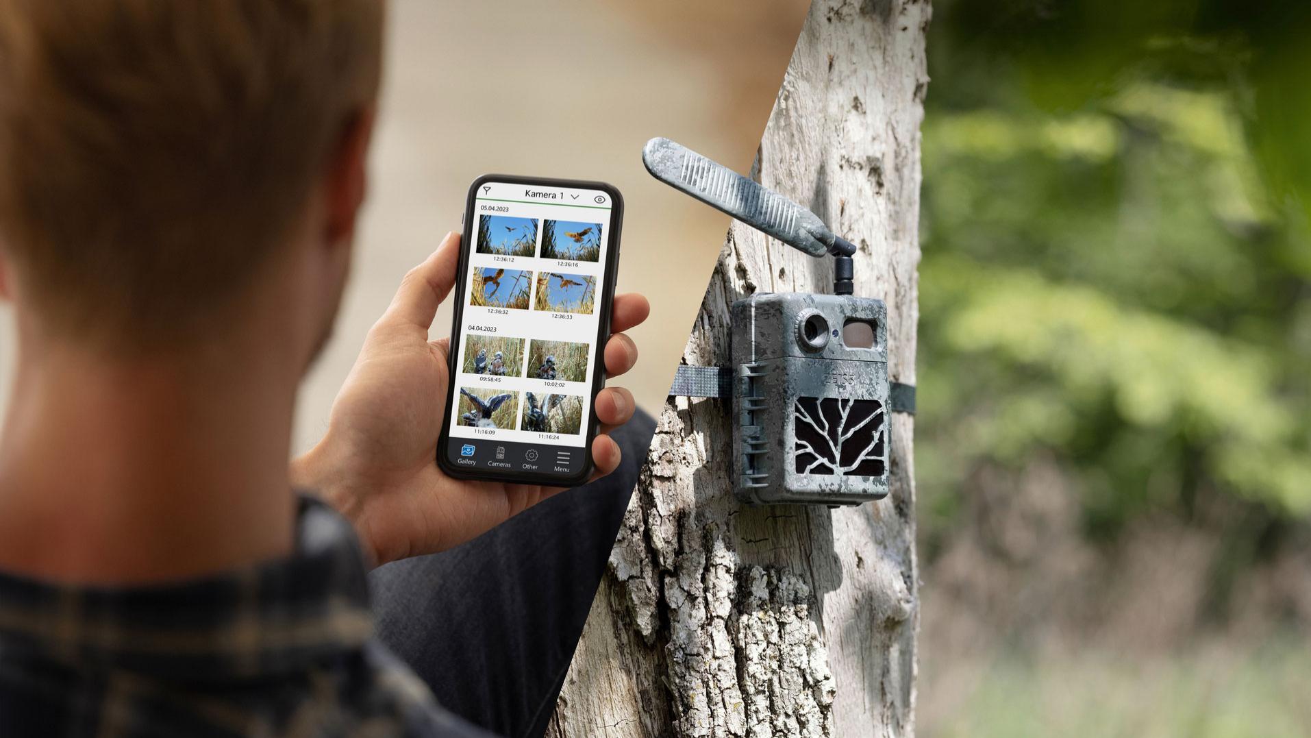 A person reviewing wildlife photos captured by a ZEISS trail camera, showcasing the camera's advanced technology and seamless mobile connectivity in a natural outdoor setting.