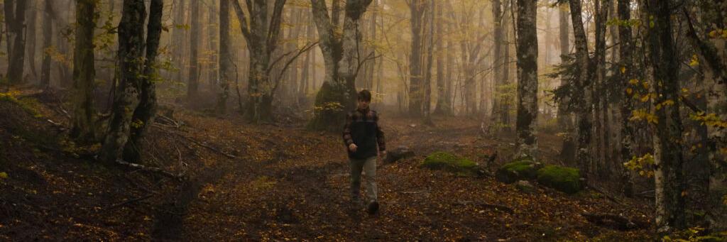 A person walks through a dense, misty forest with autumn foliage and tall trees.