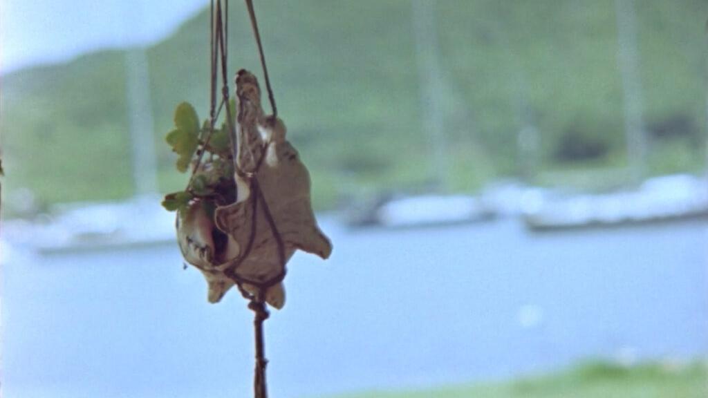 Decorative seashells and a small plant hanging from strings in front of a blurred lakeside background with boats and a green hill.