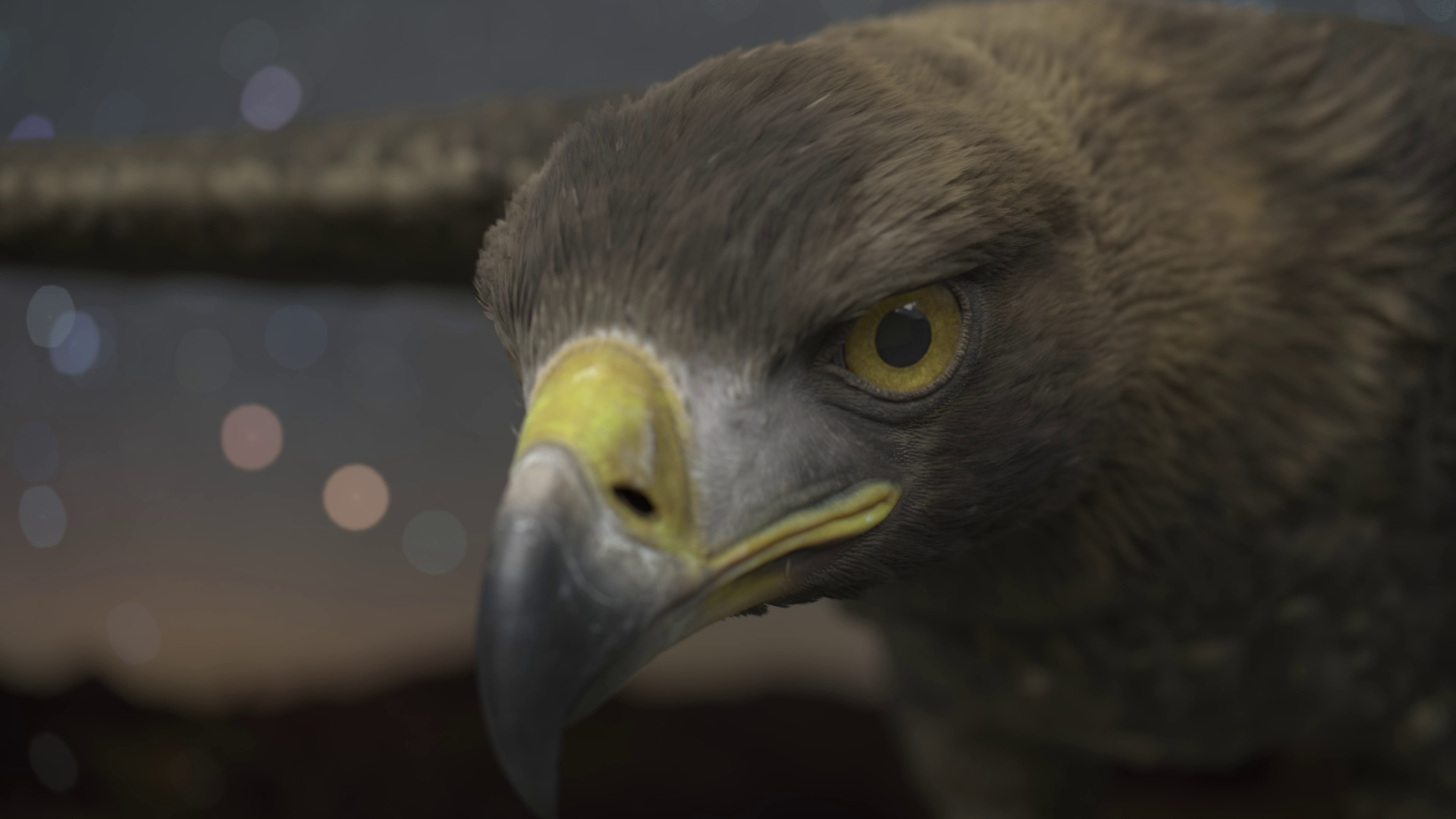 Close-up of an eagle's intense gaze and sharp beak, with a softly blurred night sky and landscape in the background.