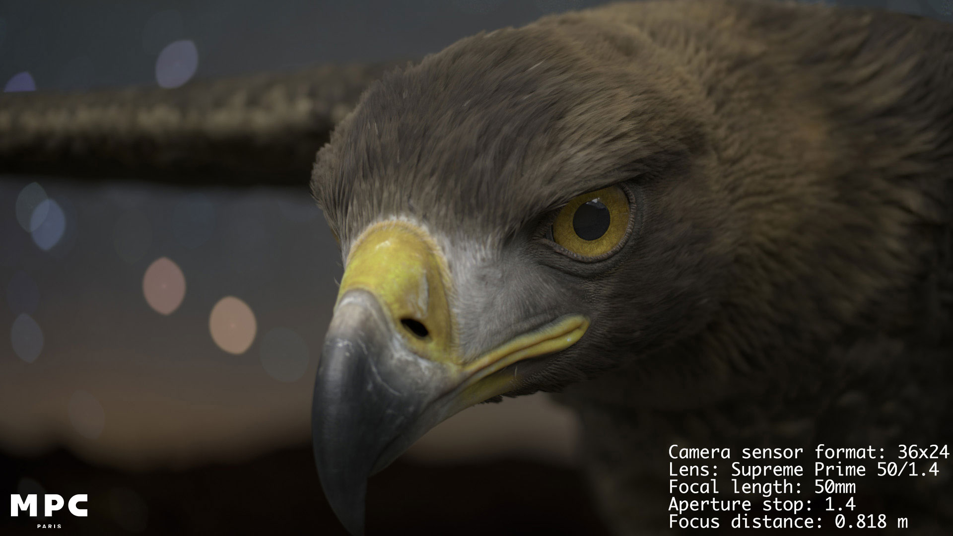 Close-up image of an eagle's face and beak with outstretched wings, captured using a ZEISS Supreme Prime 50mm lens, with technical specifications displayed in the bottom right corner.