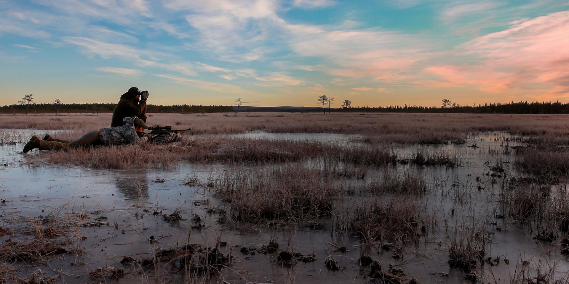 Two hunters in camouflage gear kneel in a frosty wetland at sunrise, with one looking through ZEISS binoculars.