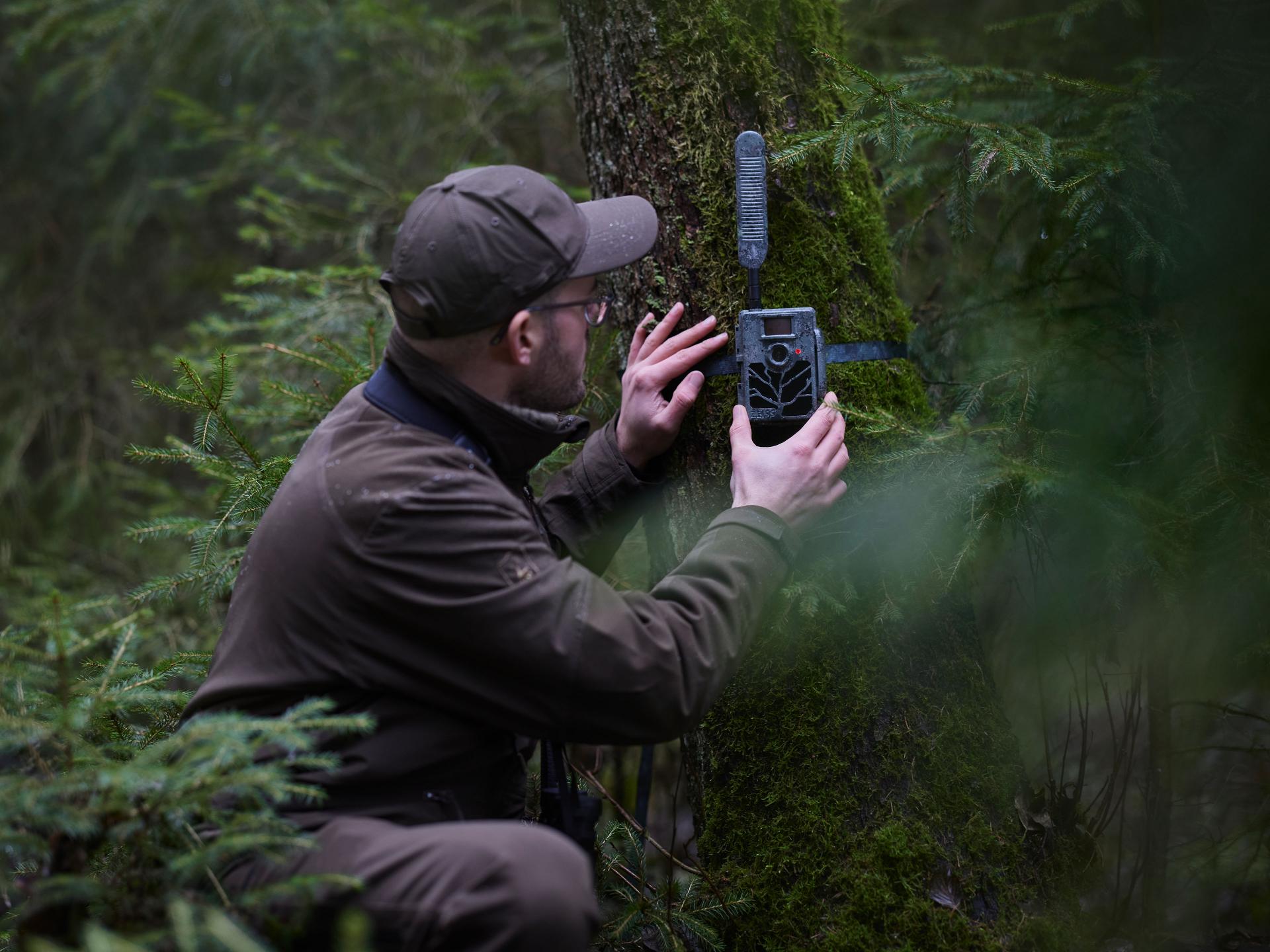 A man in outdoor gear sets up a trail camera on a moss-covered tree in a dense forest, surrounded by lush green foliage.