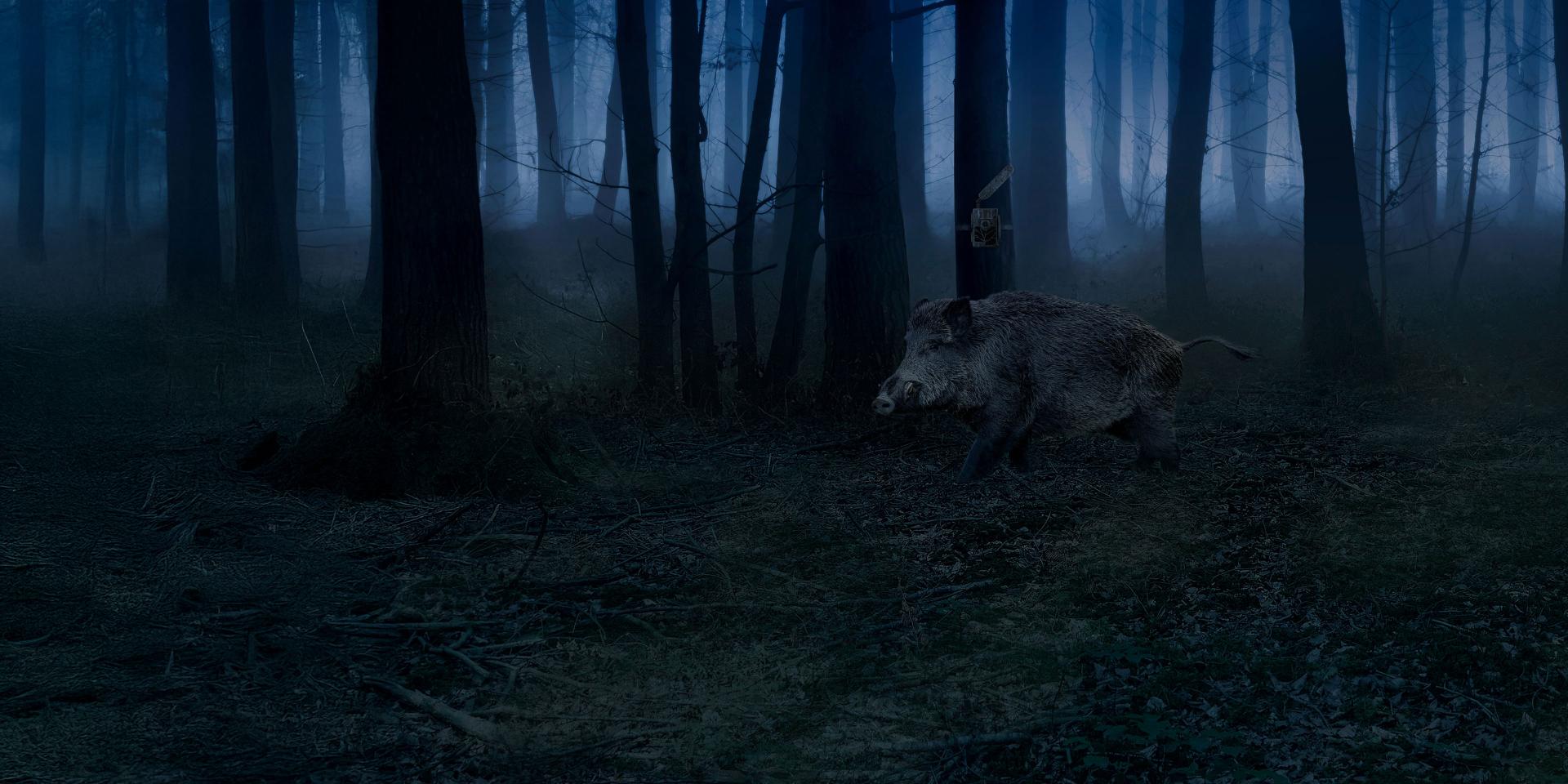 A wild boar runs through a dark, misty forest at night with a person observing from behind a tree using a ZEISS optical device.