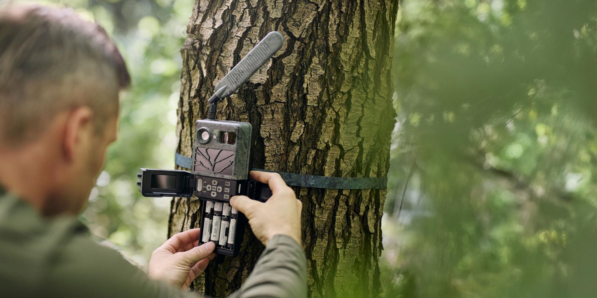 A person is installing a trail camera with batteries onto a tree trunk in a forest setting using a strap.