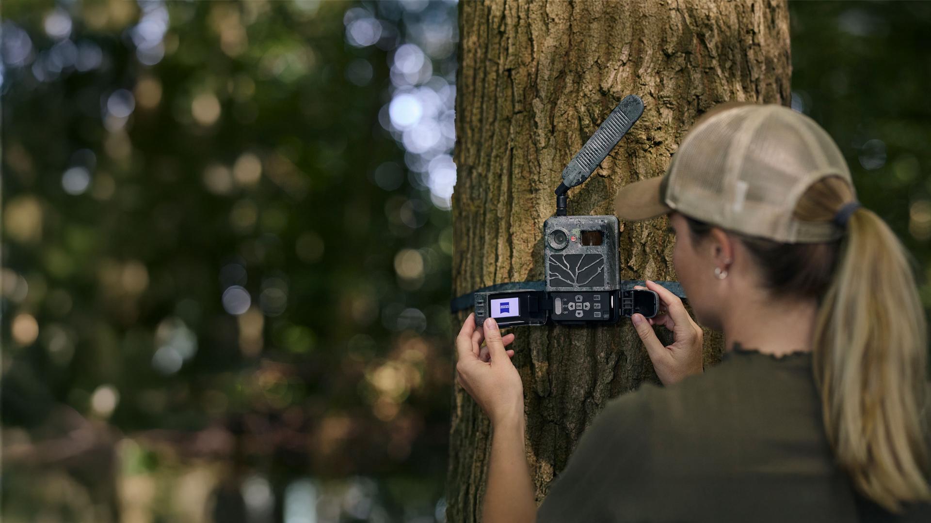 A person is mounting a ZEISS trail camera on a tree in a forested area.