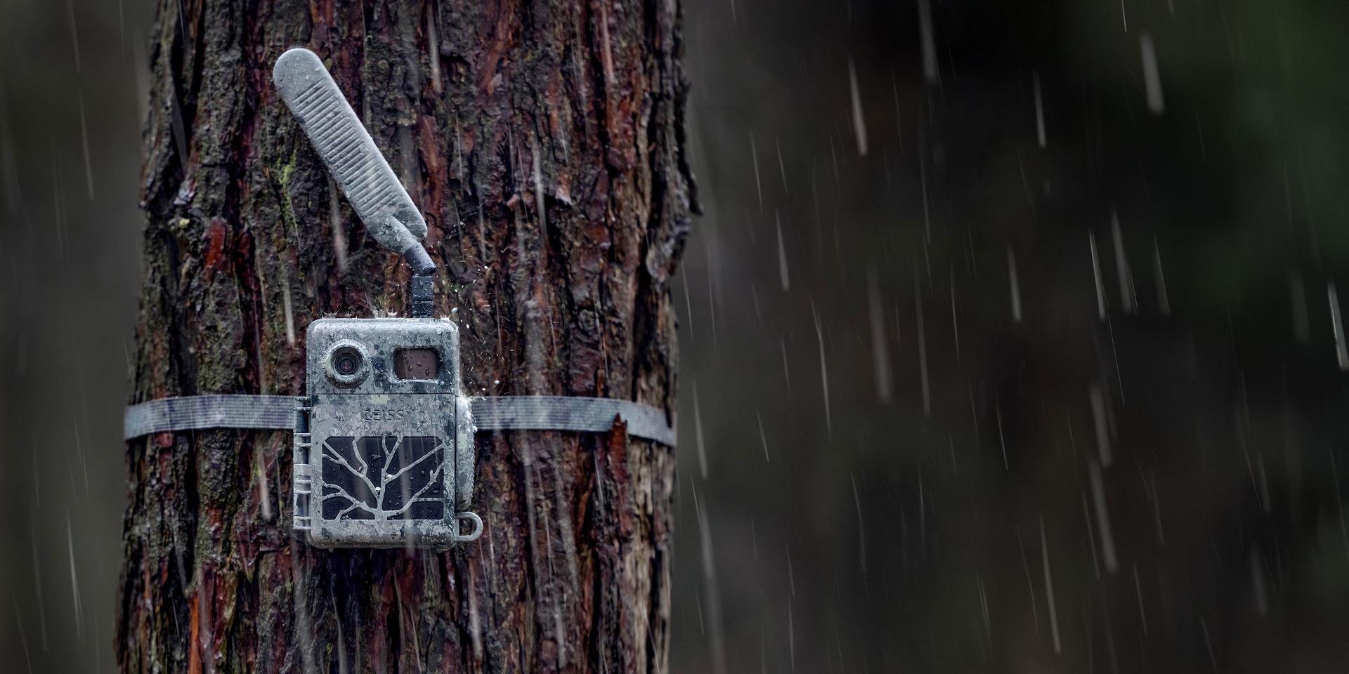 A weatherproof trail camera mounted on a tree trunk during rainfall in a forest setting.