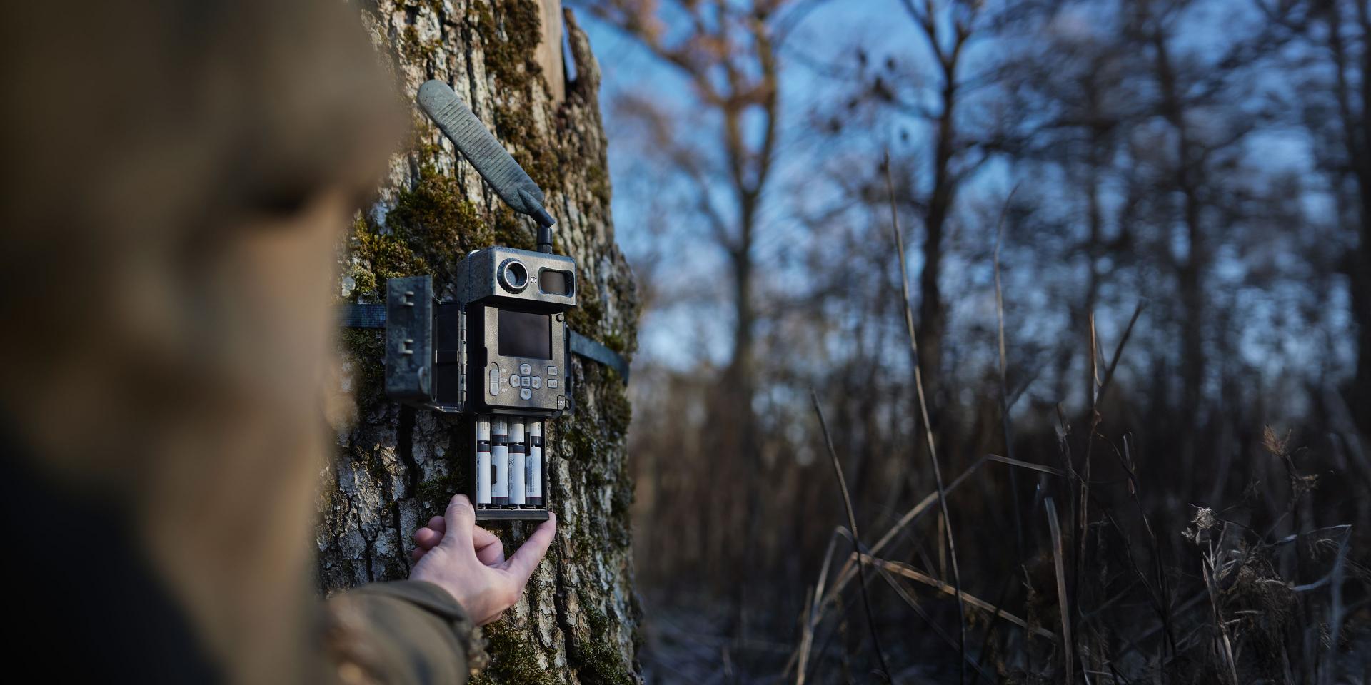A person mounts or adjusts a ZEISS trail camera strapped to a tree in a forested area during daylight.