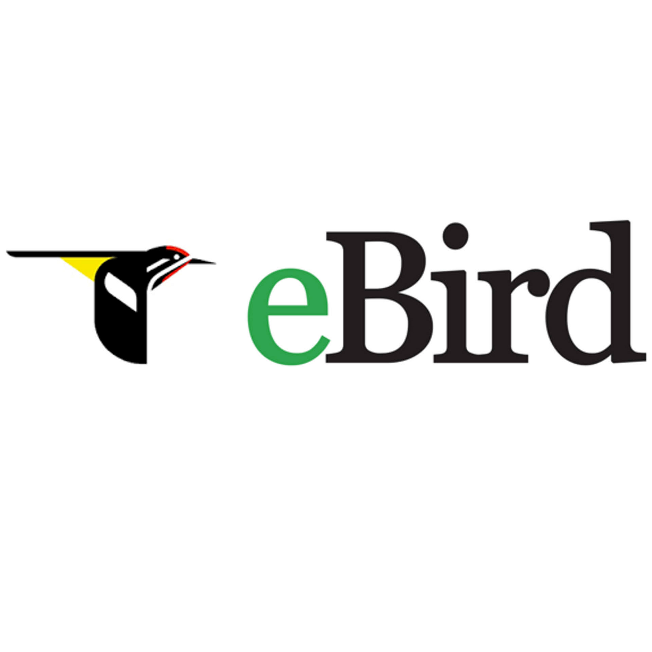 Logo of eBird featuring a stylized yellow and black bird silhouette next to the word "eBird" with a green lowercase "e".