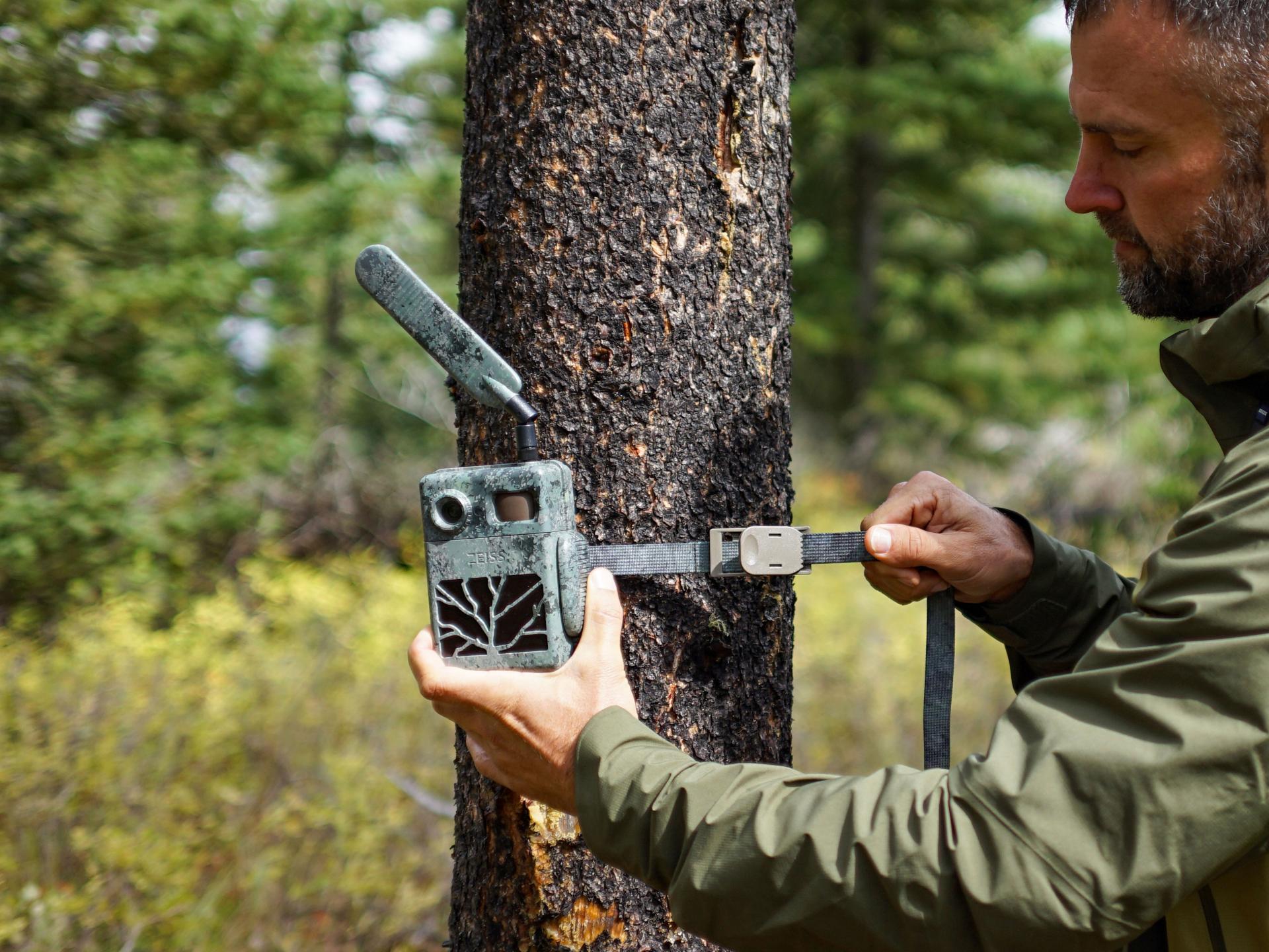 A man is mounting a camouflage wildlife camera with a tree motif to a tree trunk using a strap in a forest setting.