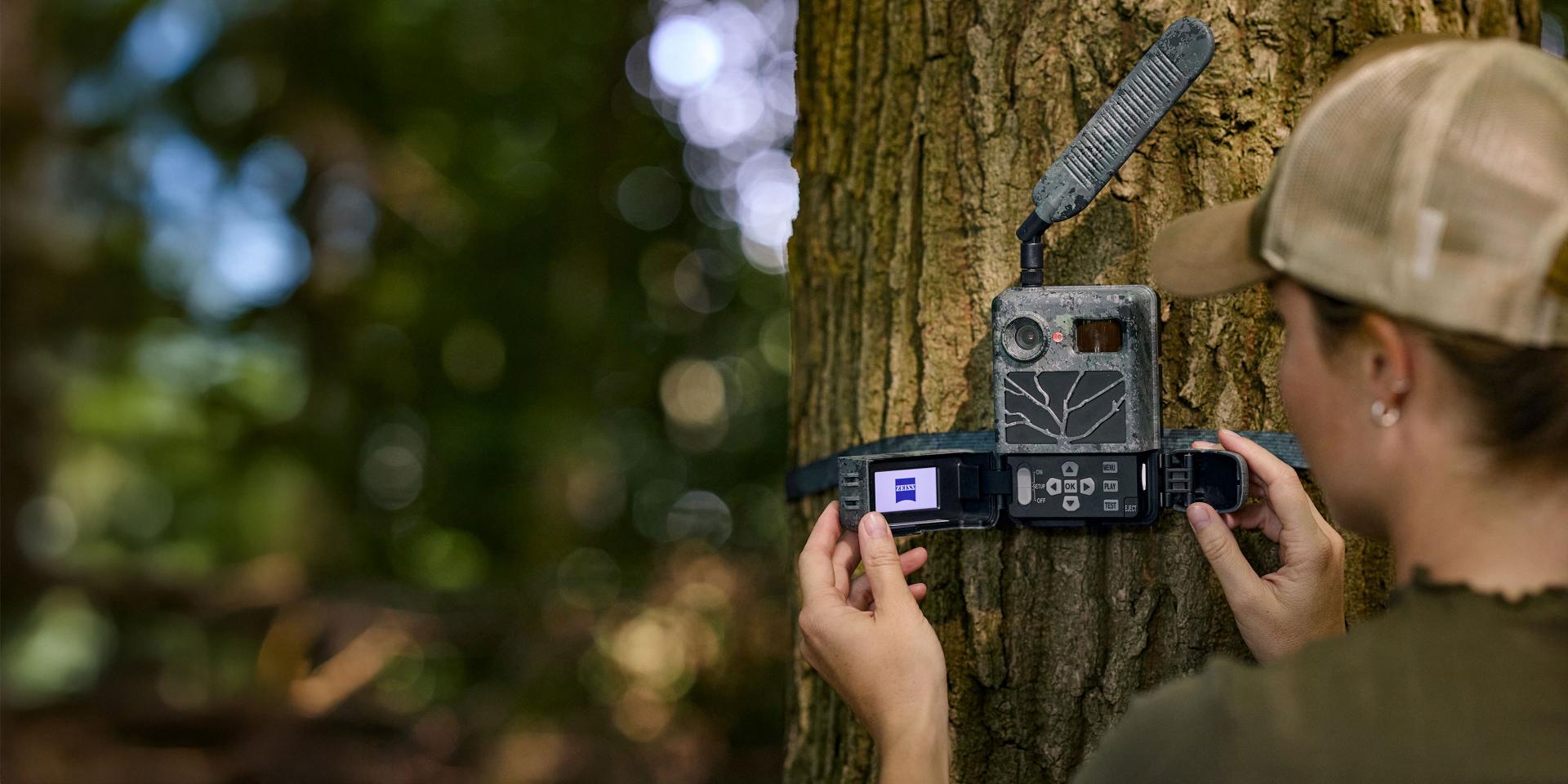 A person is setting up a trail camera with a ZEISS device attached to a tree in a forest.
