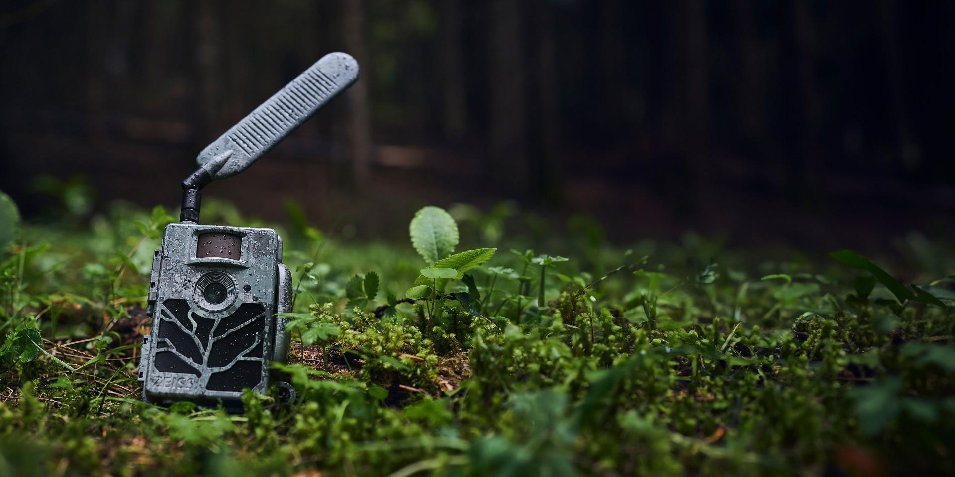 A ZEISS trail camera with camouflage design and extended antenna is positioned on the forest floor among green vegetation.