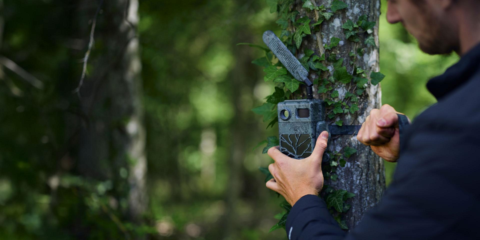 A person mounts a camouflaged ZEISS trail camera to a tree in a forest setting.