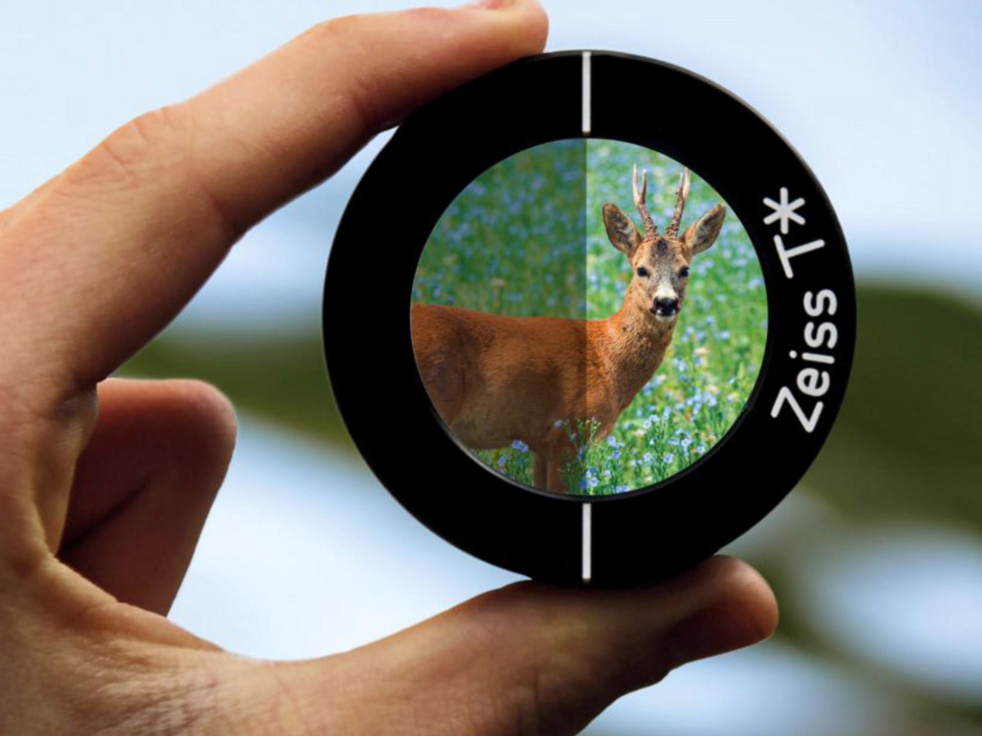 A hand holds a ZEISS T* lens filter showing a comparison of image clarity with a deer in a grassy field, divided between untreated and ZEISS-coated views.