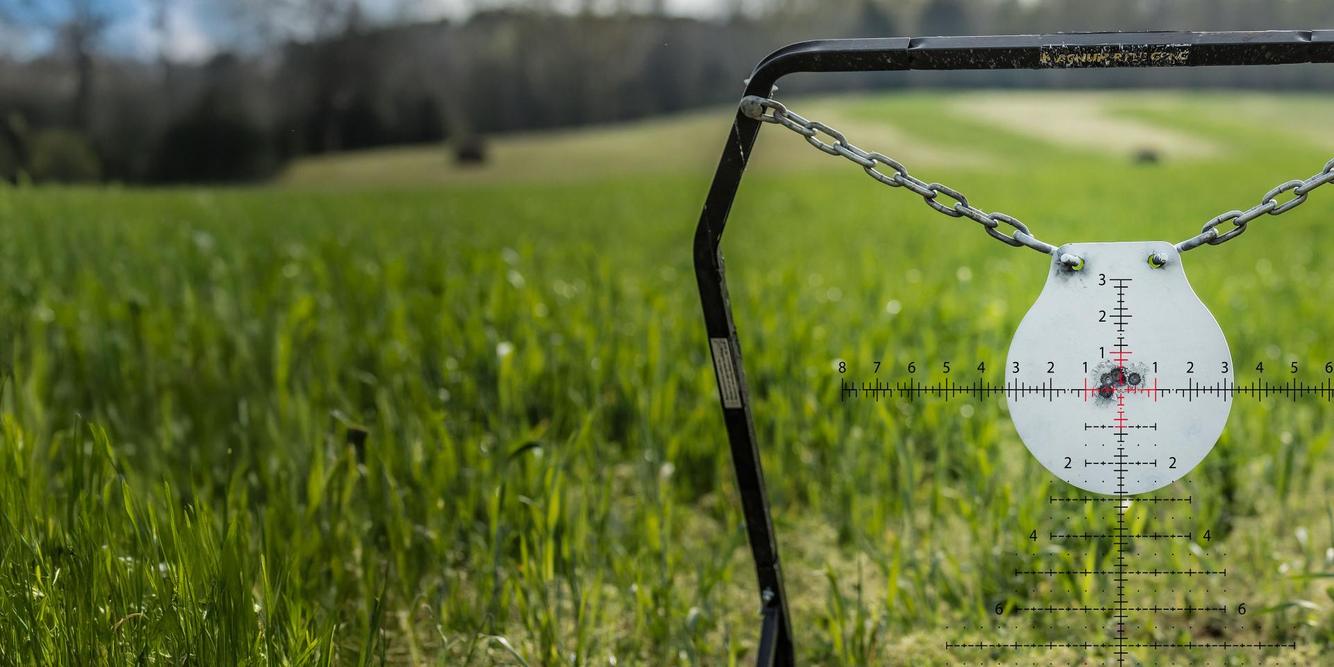 A metal target is suspended in a green field as seen through a ZEISS riflescope reticle.