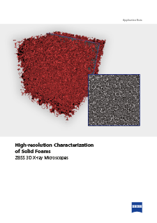 Preview image of High-resolution Characterization of Solid Foams