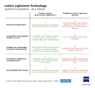 Preview image of Lattice Lightsheet Technology