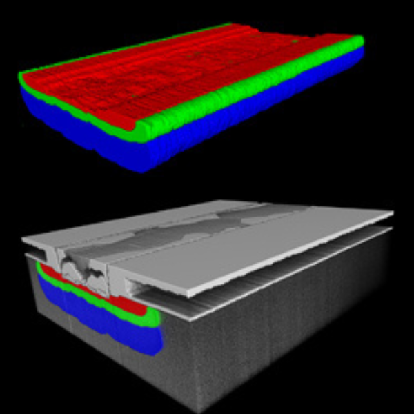 Top: 3D representation of the three AI-segmented doping zones combined. Bottom: Same visualization overlaid to a 3D representation of the full dataset.
