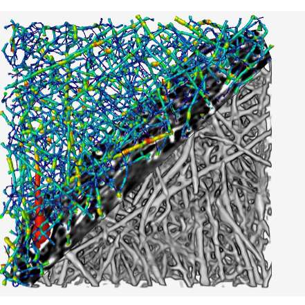 ZEISS XRM Ultra dataset of electrospun nanofibers