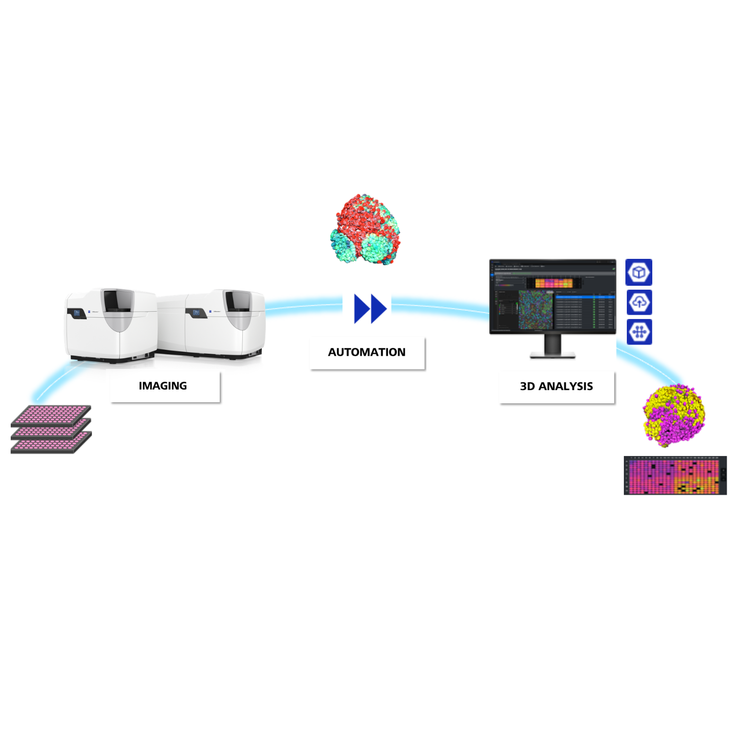 ZEISS arivis software on a computer screen